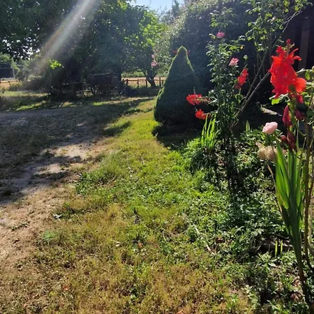 Chez Fatie Hébergement de vacances Listrac-Médoc