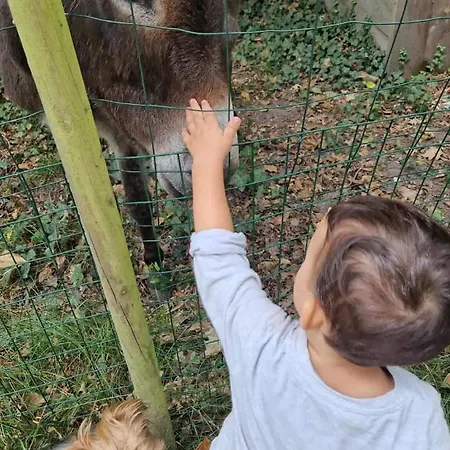 Chez Fatie Semesterbostad Listrac-Médoc