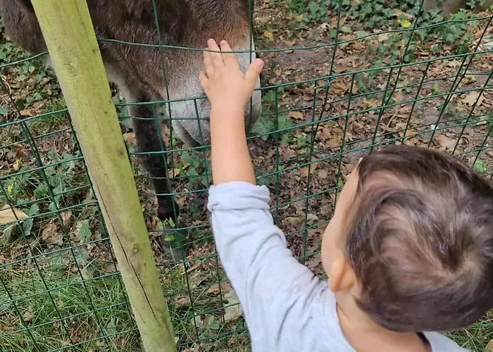 Chez Fatie Vakantiehuis Listrac-Médoc
